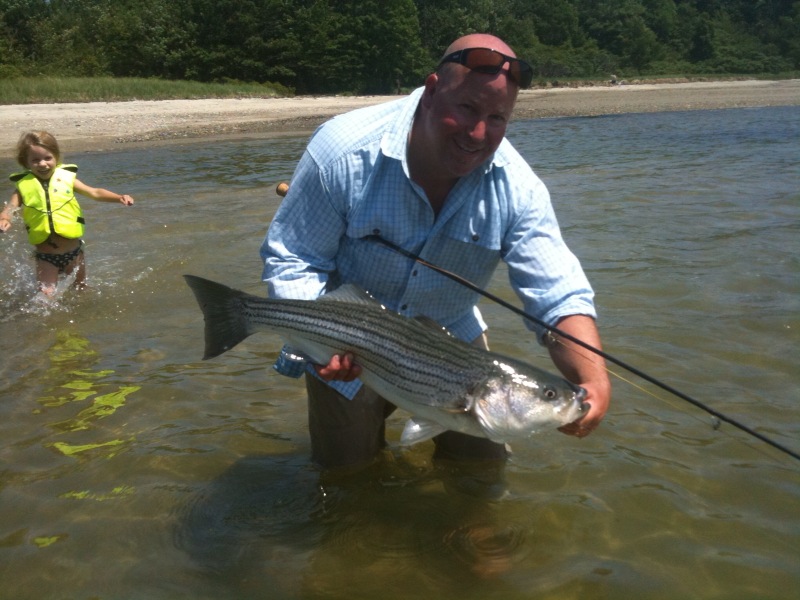 Maine Striper Fishing Reports Maine Striper Fishing Reports and Guided
